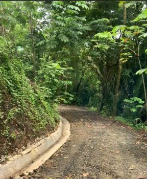 Fincas Uso Mixto en venta en Parrita, Puntarenas, Costa Rica — foto 4