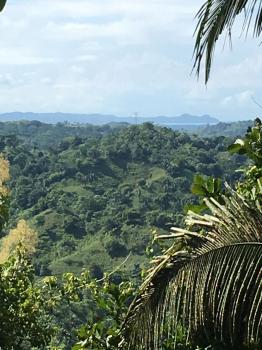 Fincas Uso Mixto en venta en Parrita, Puntarenas, Costa Rica — foto 6