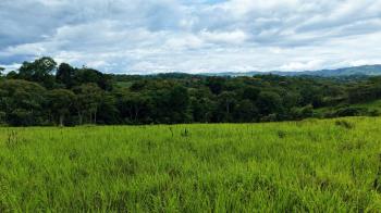 Raw Land for sale in Santa Cecilia De San Pedro, Pérez Zeledón, San José, Costa Rica — photo 4