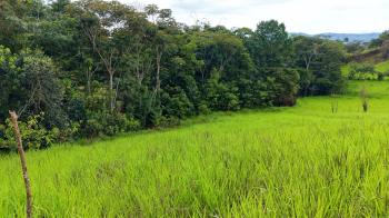 Raw Land for sale in Santa Cecilia De San Pedro, Pérez Zeledón, San José, Costa Rica — photo 6