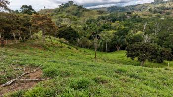 Raw Land for sale in Alto Las Esperanzas, Pérez Zeledón, San José, Costa Rica — photo 4