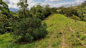 Raw Land for sale in Alto Las Esperanzas, Pérez Zeledón, San José, Costa Rica — photo 5