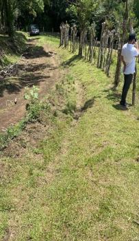 Terreno General en venta en Tronadora, Tilarán, Guanacaste, Costa Rica — foto 4