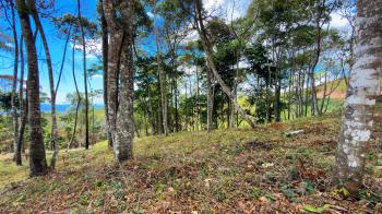 Residential Lot for sale in Quebradas, Pérez Zeledón, San José, Costa Rica — photo 2