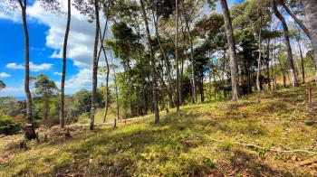 Residential Lot for sale in Quebradas, Pérez Zeledón, San José, Costa Rica — photo 3