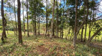 Residential Lot for sale in Quebradas, Pérez Zeledón, San José, Costa Rica — photo 4