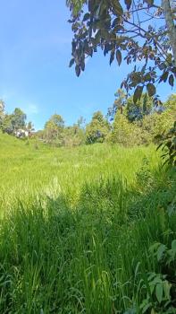 Finca para Agricultura en venta en Los Reyes, Pérez Zeledón, San José, Costa Rica — foto 2