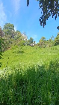 Finca para Agricultura en venta en Los Reyes, Pérez Zeledón, San José, Costa Rica — foto 3