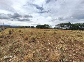 Terreno para Desarrollo en venta en La Guacima, Alajuela, Costa Rica — foto 3