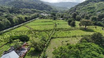Terreno Comercial en venta en Barú, Pérez Zeledón, San José, Costa Rica — foto 2