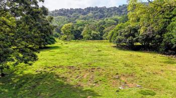 Terreno Comercial en venta en Barú, Pérez Zeledón, San José, Costa Rica — foto 4