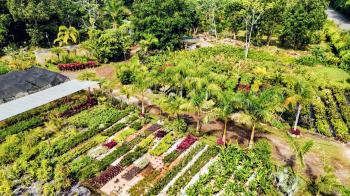 Terreno Comercial en venta en Barú, Pérez Zeledón, San José, Costa Rica — foto 5