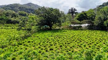 Terreno Comercial en venta en Barú, Pérez Zeledón, San José, Costa Rica — foto 6