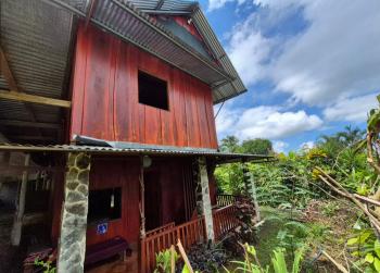 Casa 3+ Plantas en venta en Las Tumbas, Pérez Zeledón, San José, Costa Rica — foto 7