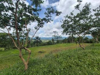 Terreno Para Vivienda en venta en Miravalles, Pérez Zeledón, San José, Costa Rica — foto 2