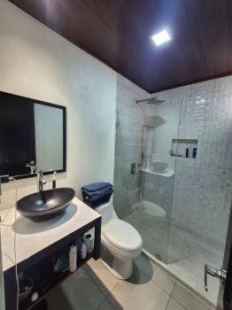 Casa una Planta en venta en Pedregoso, Pérez Zeledón, San José, Costa Rica — foto 3