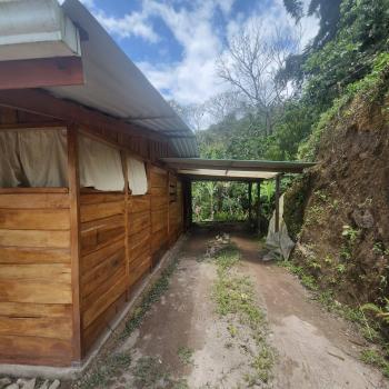 Tranquila Finca Orgánica de Aguacates de 4,7 Hectáreas Con Cabaña.