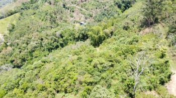 Agricultural Land for sale in Pueblo Nuevo, Pérez Zeledón, San José, Costa Rica — photo 3