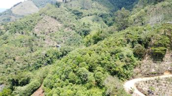 Agricultural Land for sale in Pueblo Nuevo, Pérez Zeledón, San José, Costa Rica — photo 4