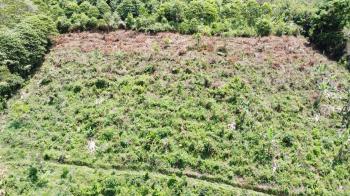 Agricultural Land for sale in Pueblo Nuevo, Pérez Zeledón, San José, Costa Rica — photo 5