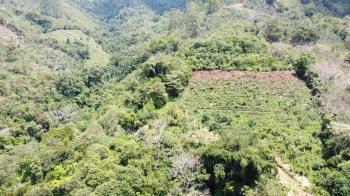Agricultural Land for sale in Pueblo Nuevo, Pérez Zeledón, San José, Costa Rica — photo 6