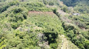 Agricultural Land for sale in Pueblo Nuevo, Pérez Zeledón, San José, Costa Rica — photo 7
