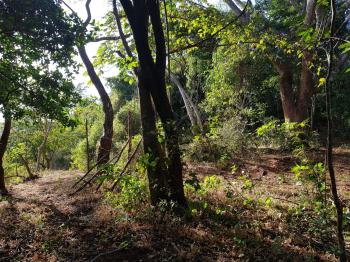 Finca para Ganadería en venta en Los Ángeles De Arado, Santa Cruz, Guanacaste, Costa Rica — foto 3