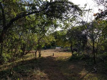 Finca para Ganadería en venta en Los Ángeles De Arado, Santa Cruz, Guanacaste, Costa Rica — foto 6