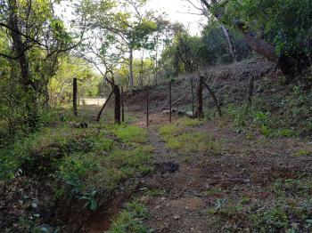 Finca para Ganadería en venta en Los Ángeles De Arado, Santa Cruz, Guanacaste, Costa Rica — foto 7