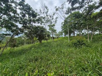 Terreno General en venta en San Antonio De Rivas, Pérez Zeledón, San José, Costa Rica — foto 4