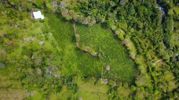 Terreno Para Vivienda en venta en Santa Elena, Pérez Zeledón, San José, Costa Rica — foto 2