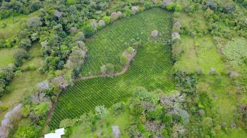 Terreno Para Vivienda en venta en Santa Elena, Pérez Zeledón, San José, Costa Rica — foto 1