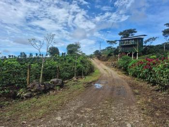 Terreno Para Vivienda en venta en Santa Elena, Pérez Zeledón, San José, Costa Rica — foto 3