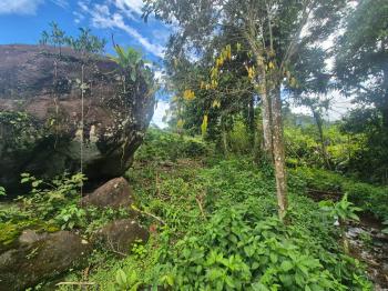 Terreno Para Vivienda en venta en Santa Elena, Pérez Zeledón, San José, Costa Rica — foto 5