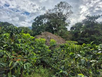 Terreno Para Vivienda en venta en Santa Elena, Pérez Zeledón, San José, Costa Rica — foto 7