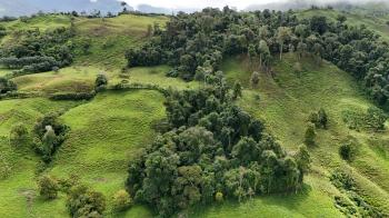 Mixed Use Land for sale in Baru, Pérez Zeledón, San José, Costa Rica — photo 2