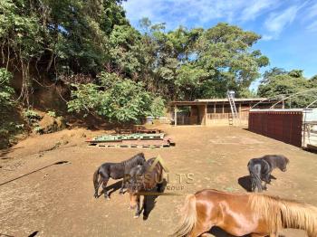 Excepcional Finca Ecuestre Cerca de Grecia + ¡casa de Alquiler Adicional!