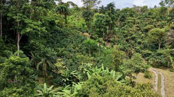 Mixed Use Land for sale in San Gabriel, Pérez Zeledón, San José, Costa Rica — photo 4