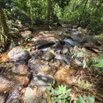 Terreno para Desarrollo en venta en Quebradas, Pérez Zeledón, San José, Costa Rica — foto 4