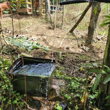 Terreno para Desarrollo en venta en Quebradas, Pérez Zeledón, San José, Costa Rica — foto 5