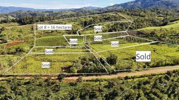 Venta de Macro-propiedad de 16 ha en Santa Elena Hills, Perez Zeledon: la Joya