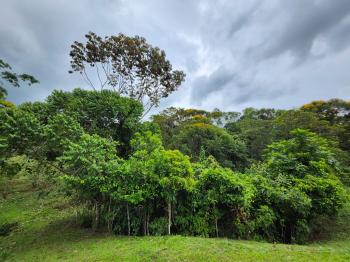 Residential Lot for sale in Miravalles, Pérez Zeledón, San José, Costa Rica — photo 3