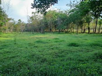 Terreno General en venta en Javillos, San Carlos, Alajuela, Costa Rica — foto 2