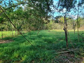Terreno General en venta en Javillos, San Carlos, Alajuela, Costa Rica — foto 3