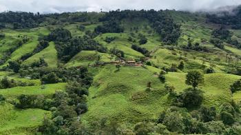 138+ Acres en San Marcos de Barú, Pérez Zeledón