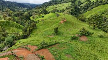 Agricultural Land for sale in San Marcos De Baru, Pérez Zeledón, San José, Costa Rica — photo 5