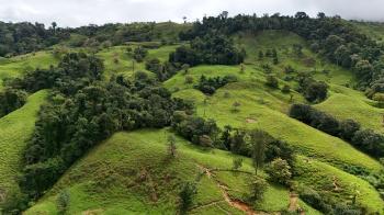 Agricultural Land for sale in San Marcos De Baru, Pérez Zeledón, San José, Costa Rica — photo 6