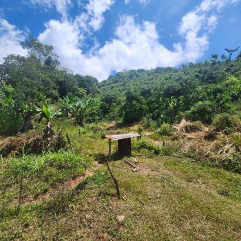 Finca para Agricultura en venta en Pueblo Nuevo, Pérez Zeledón, San José, Costa Rica — foto 3