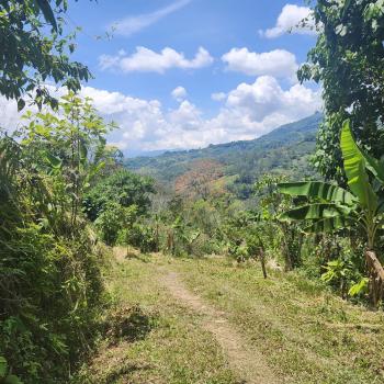 Finca para Agricultura en venta en Pueblo Nuevo, Pérez Zeledón, San José, Costa Rica — foto 5