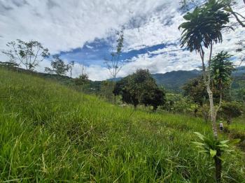 Finca para Agricultura en venta en San Antonio De Rivas, Pérez Zeledón, San José, Costa Rica — foto 3